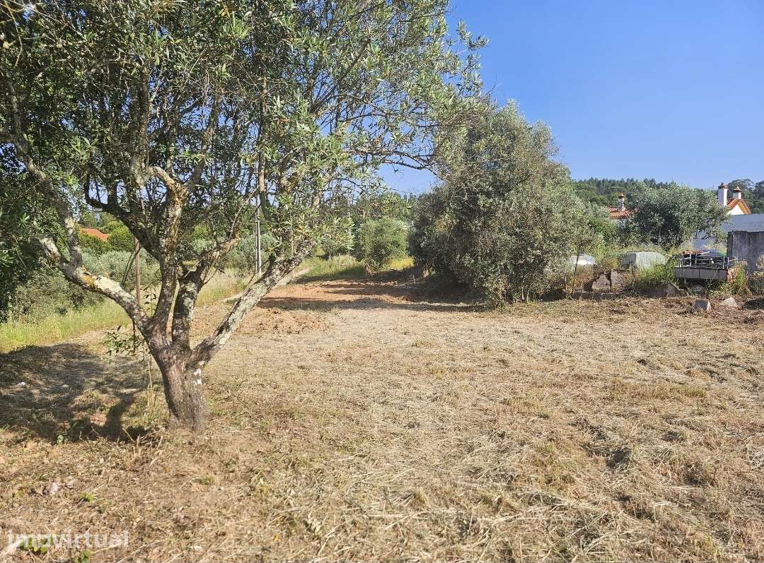 TERRENO URBANO COM 1582M2 MEIA VIA - Grande imagem: 3/5