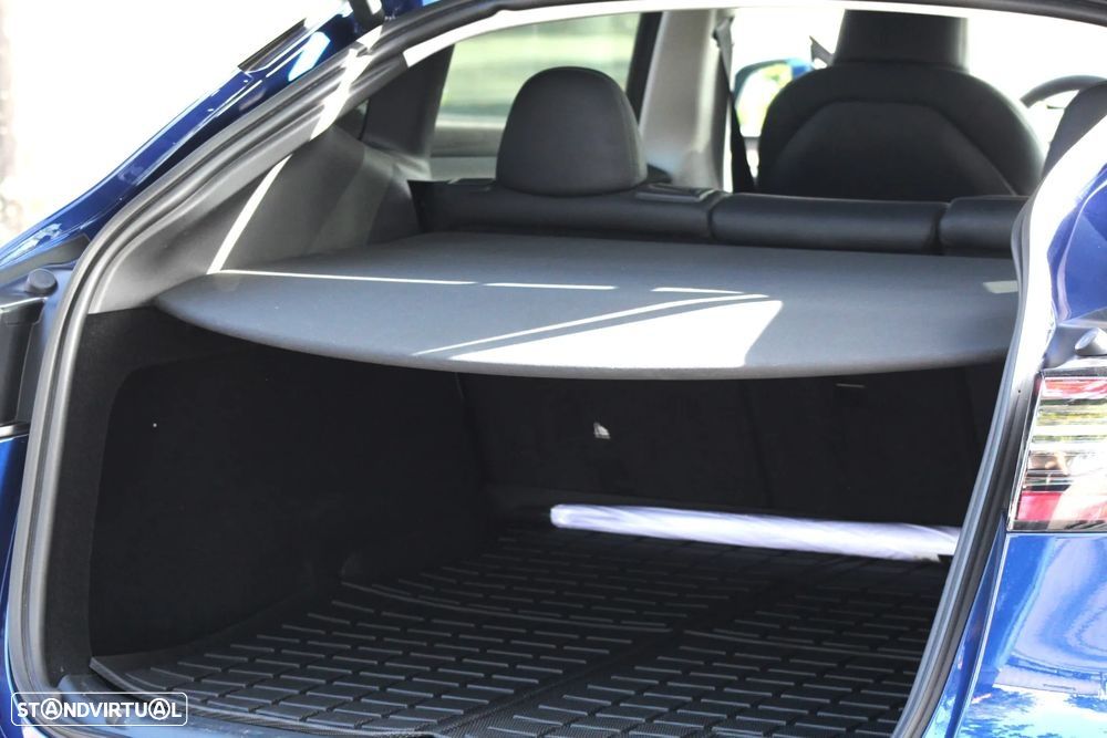 Tesla Model Y Performance Dual Motor AWD - 19