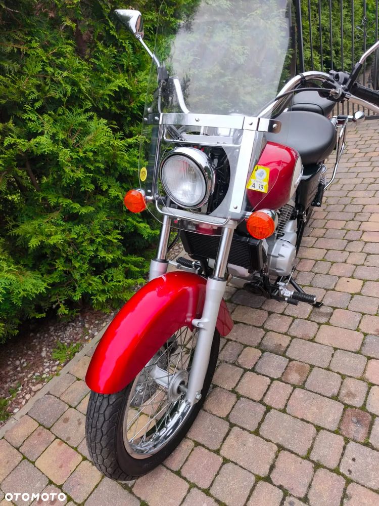 Honda Shadow - 6