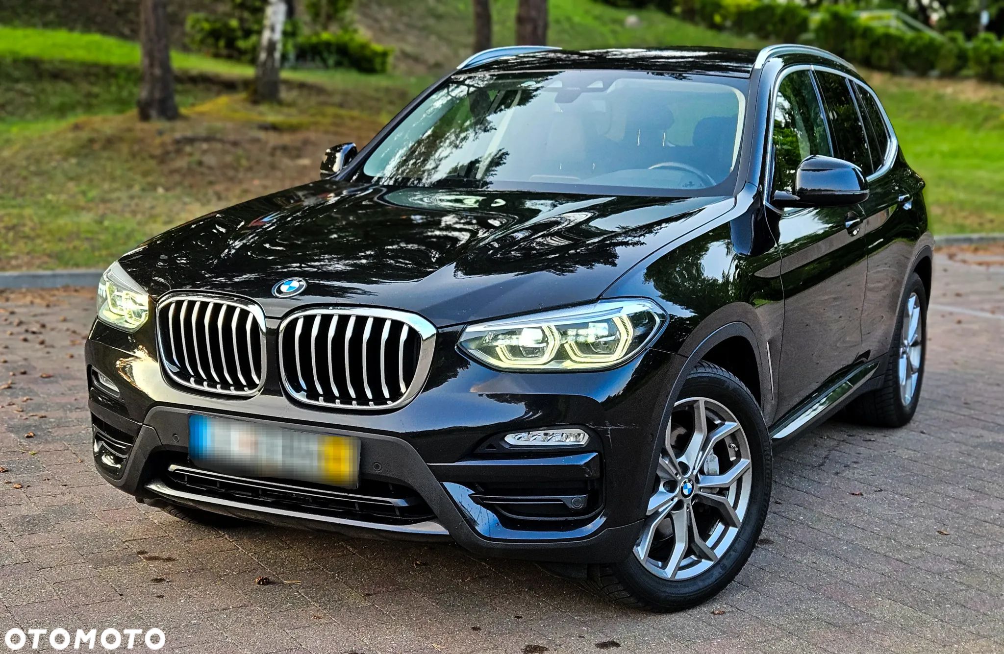 BMW X3 xDrive30d xLine - 1