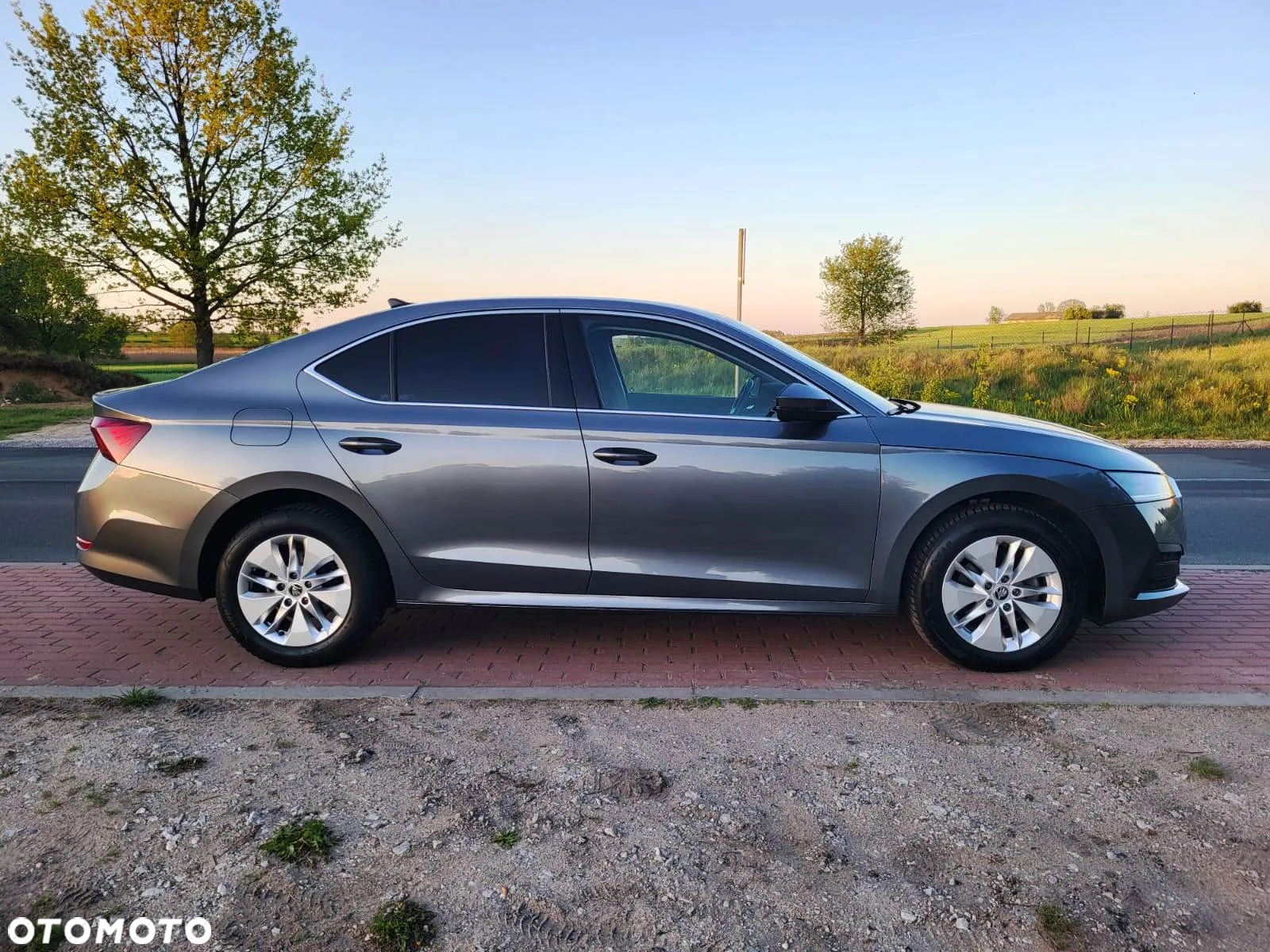 Skoda Octavia 2.0 TDI Ambition DSG - 5