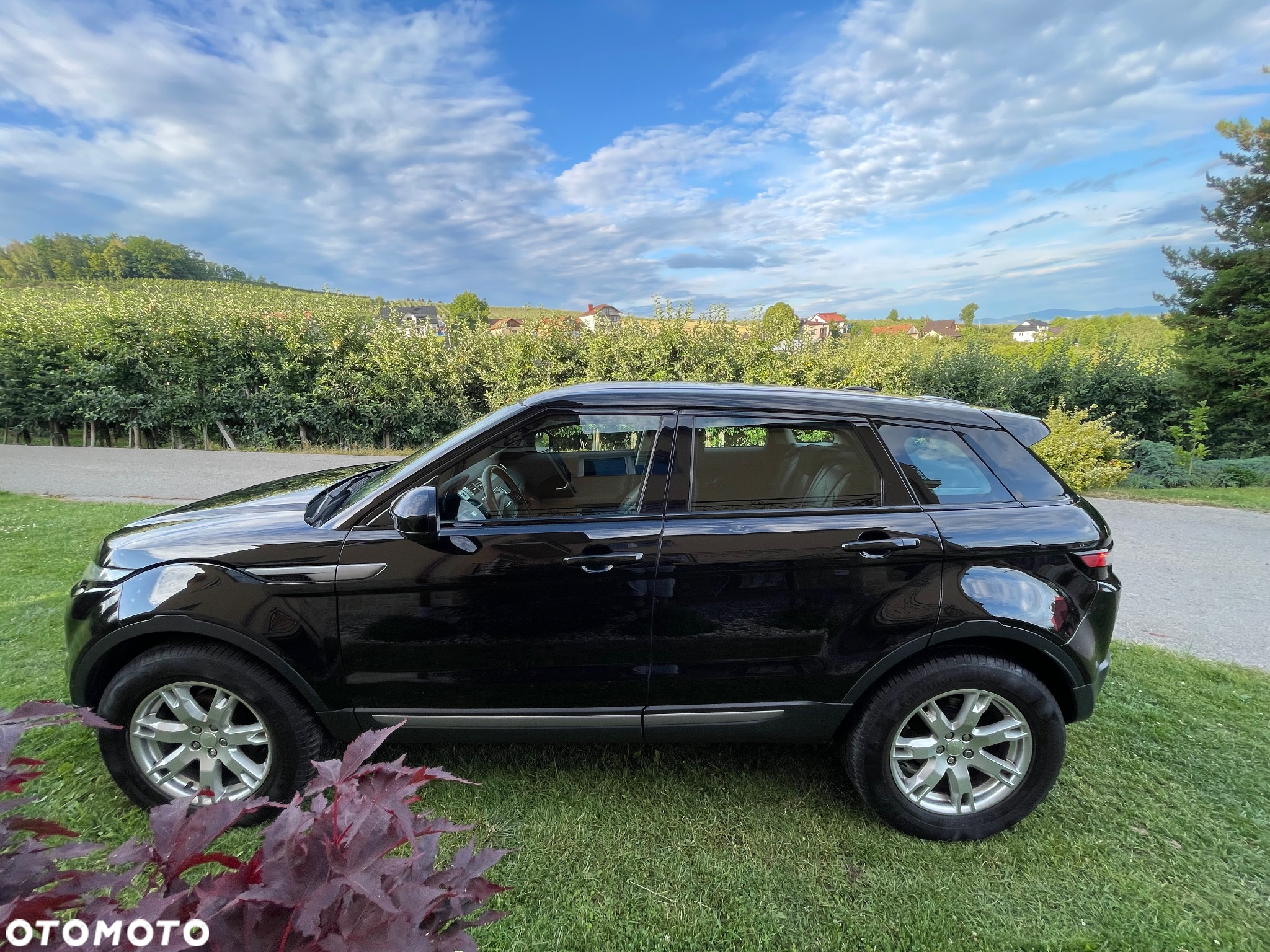 Land Rover Range Rover Evoque TD4 Dynamic - 8
