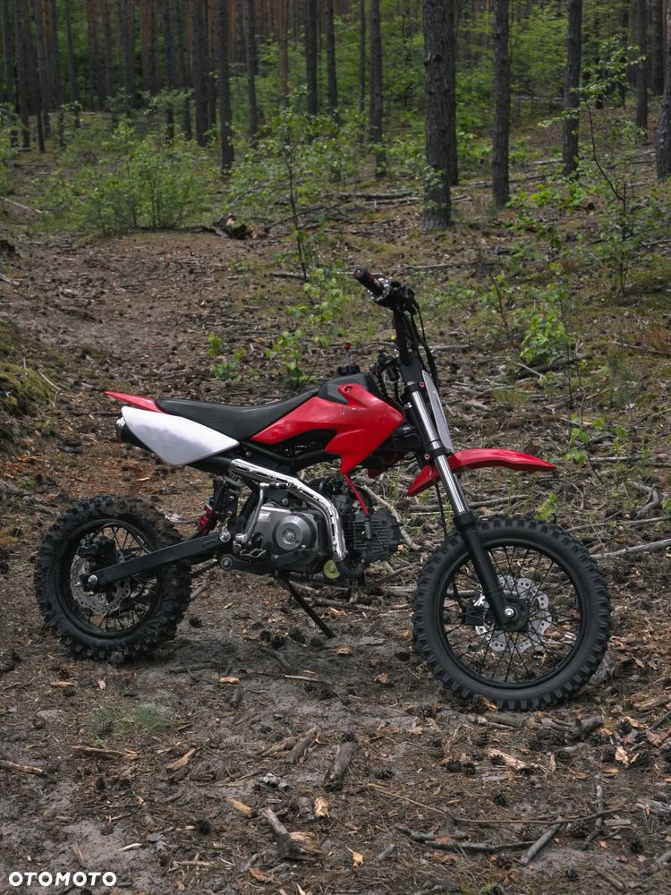 Zipp Inny - 10