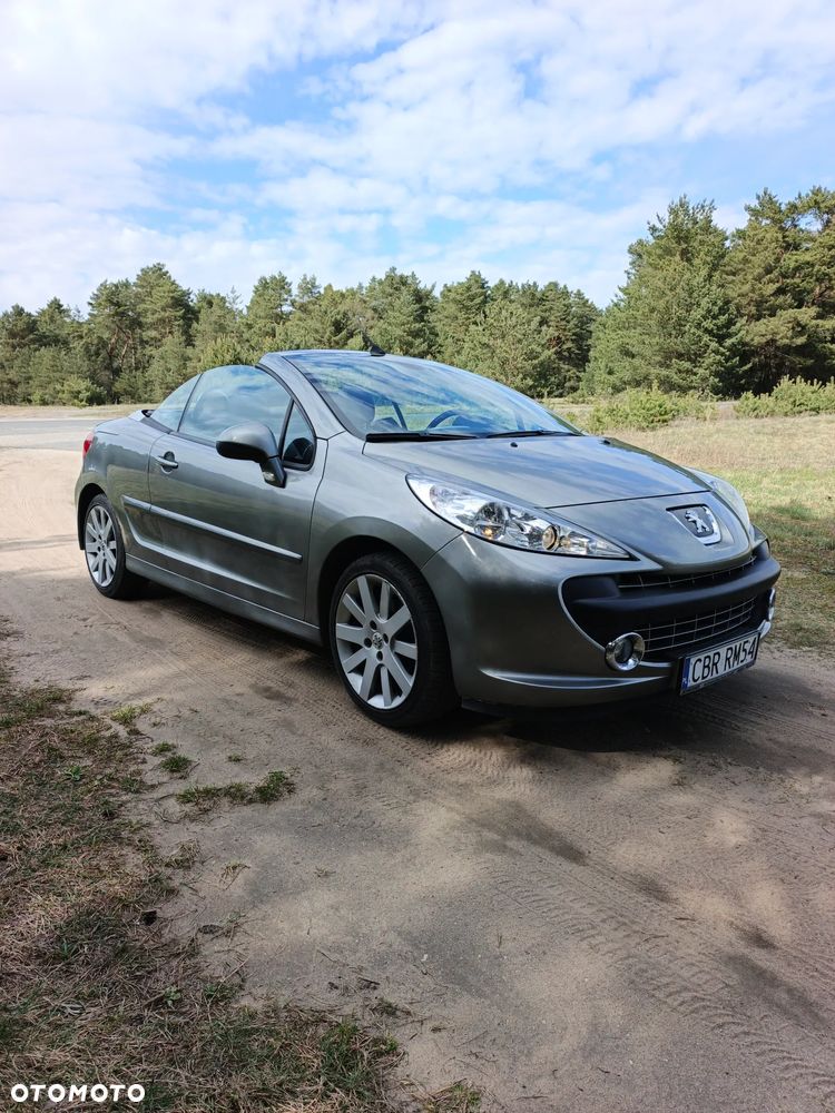 Peugeot 207 - 15