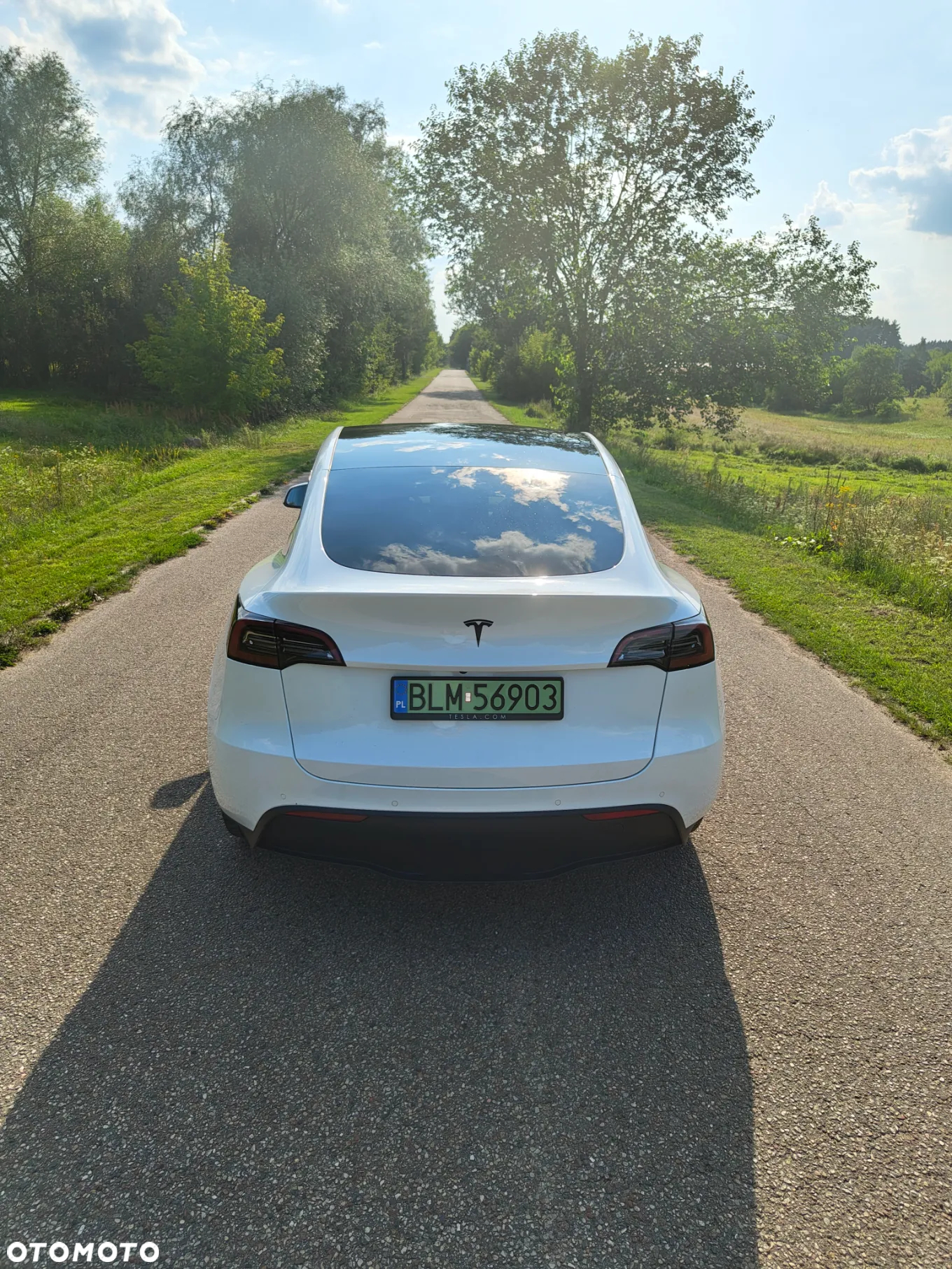 Tesla Y Model Long Range Dual Motor AWD - 10