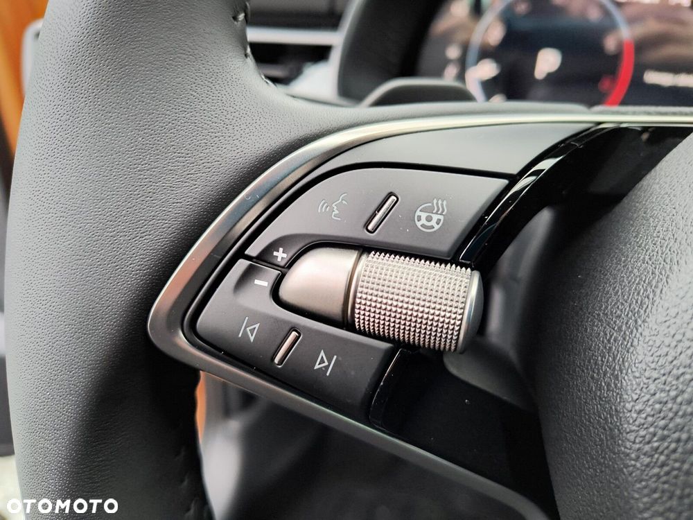 Skoda Kamiq 1.0 TSI Edition 130 DSG - 30