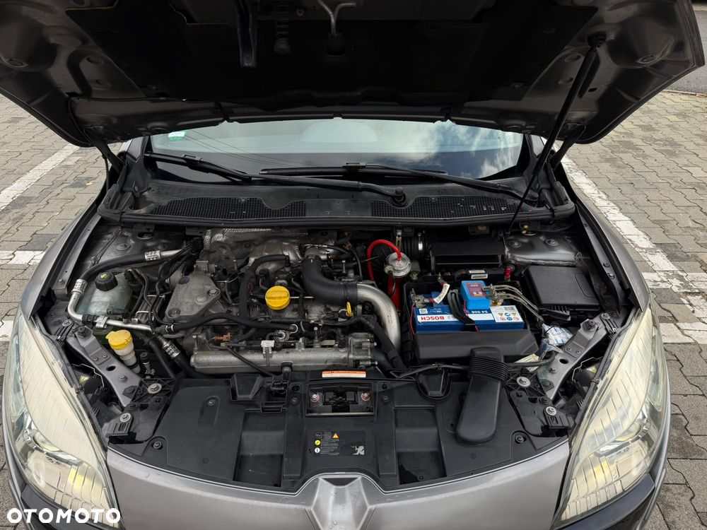 Renault Megane 2.0 16V RS - 19