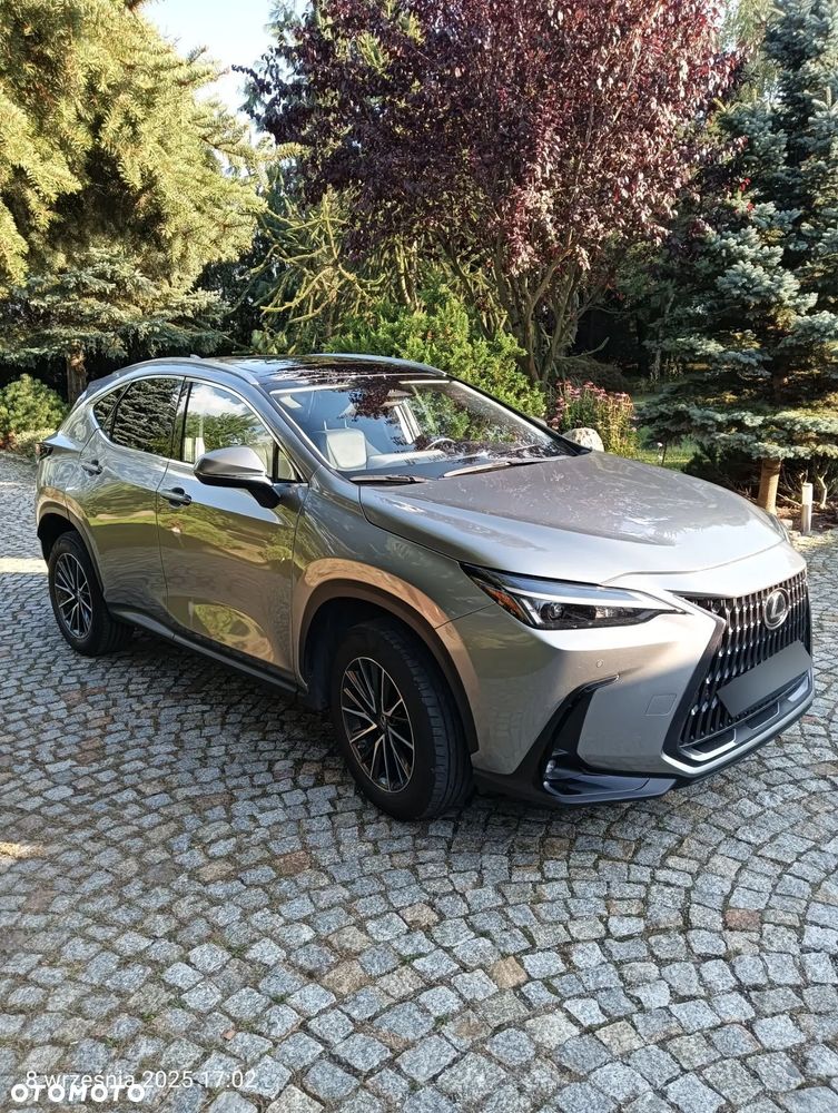 Lexus NX 350h Prestige AWD - 2