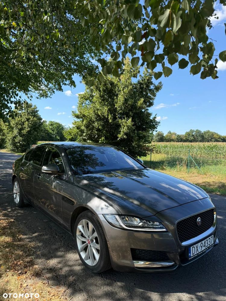 Jaguar XF 20d Prestige - 5