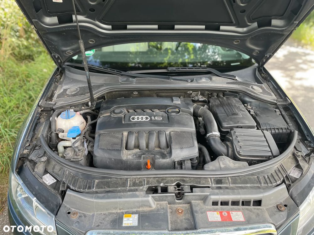 Audi A3 3-drzwiowe 1.6 Ambition - 10