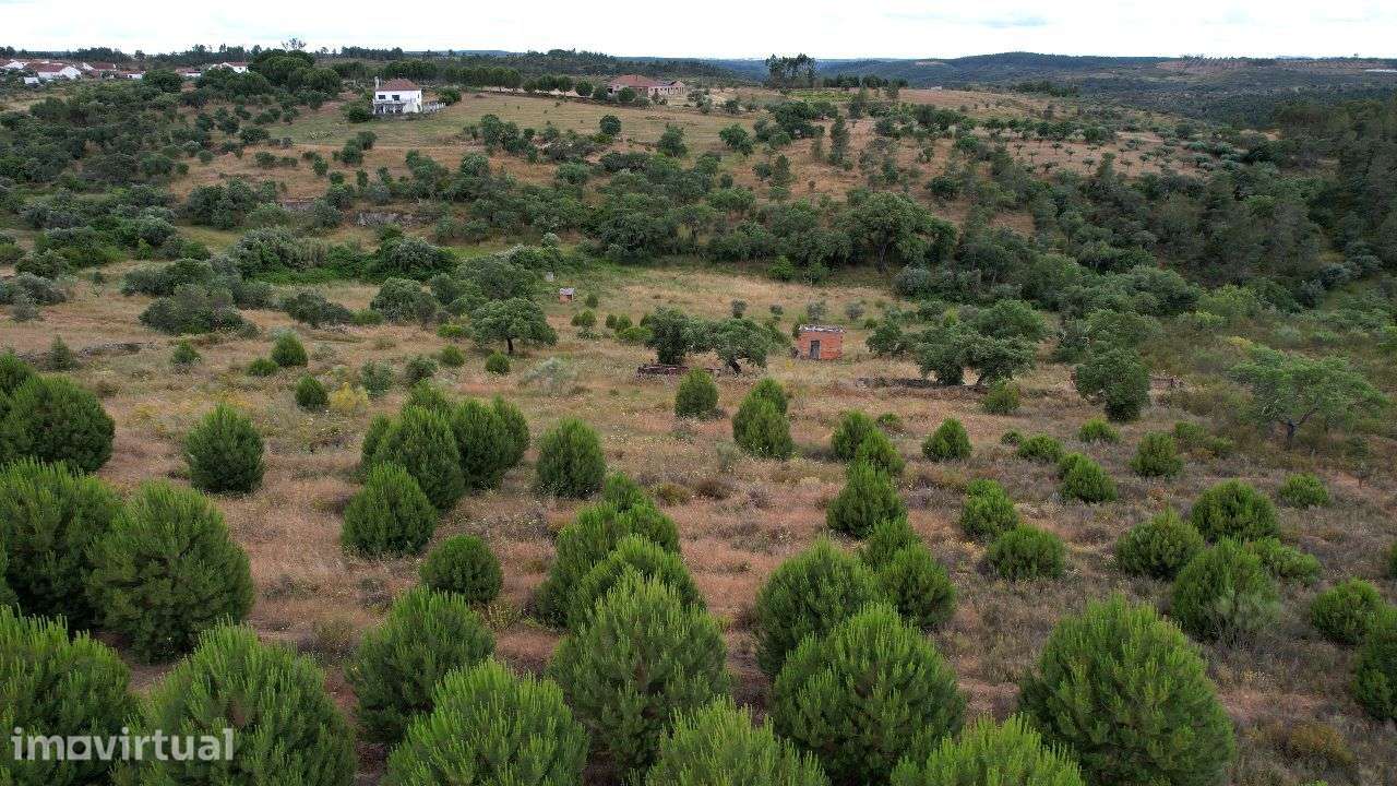 Terreno - Grande imagem: 2/5