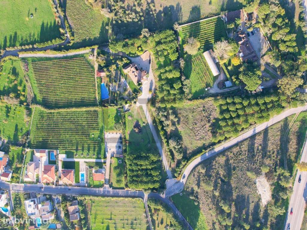 Quinta com Piscina e Vinha para Venda em Azeitão, Arrábida - Grande imagem: 5/60