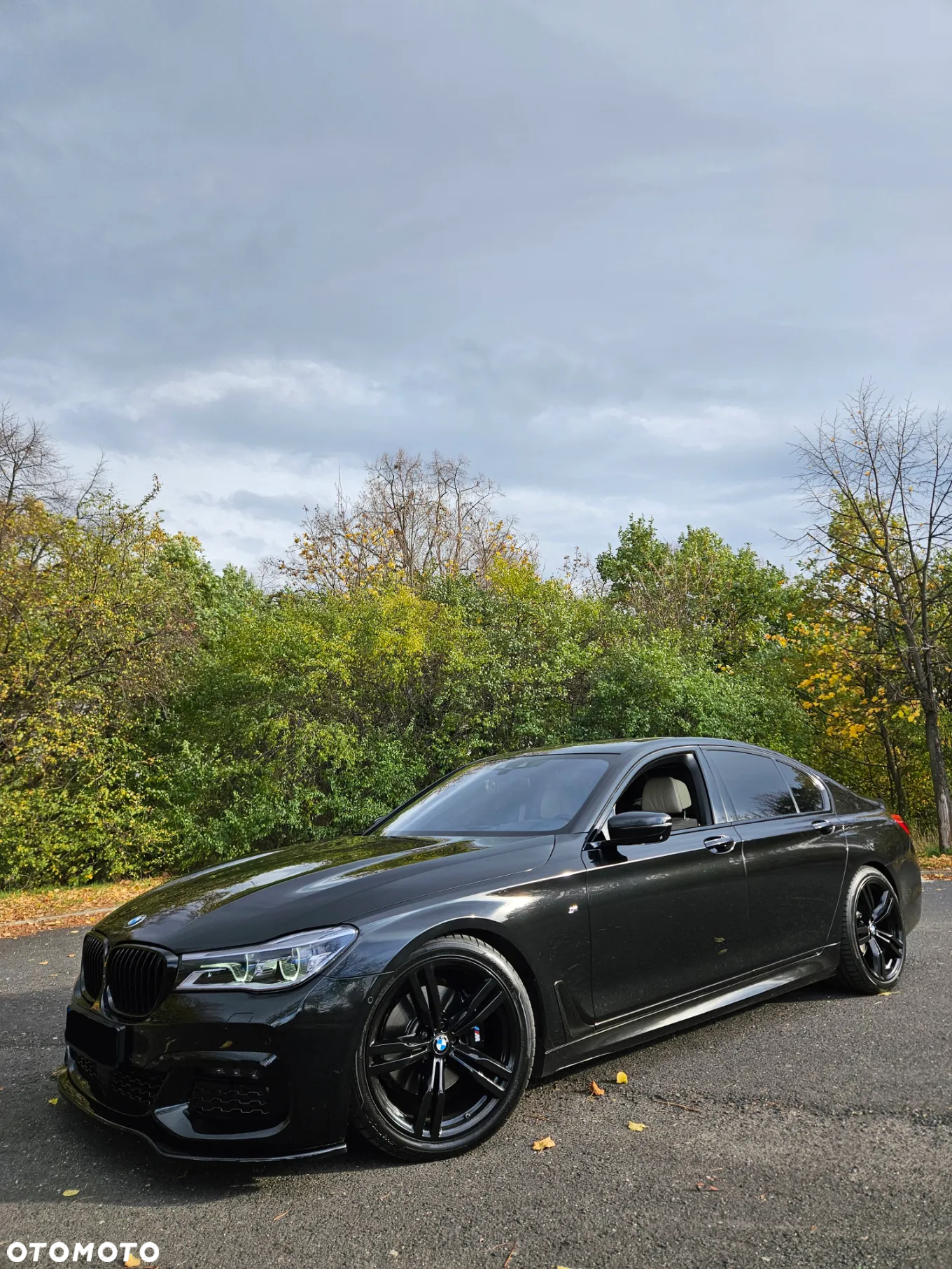 BMW Seria 7 740d xDrive - 8