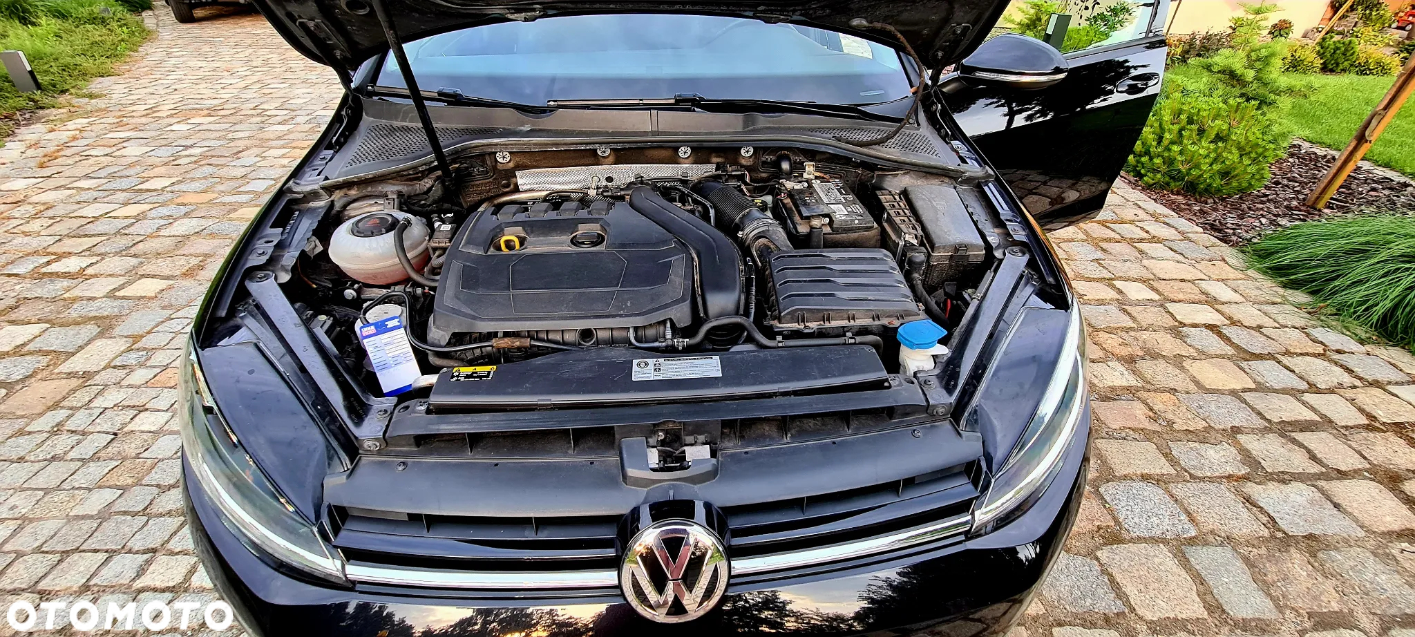Volkswagen Golf VII 1.5 TSI BMT Evo IQ Drive - 13