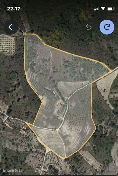 Vendo quinta 6ha vinha e olival - Grande imagem: 5/8
