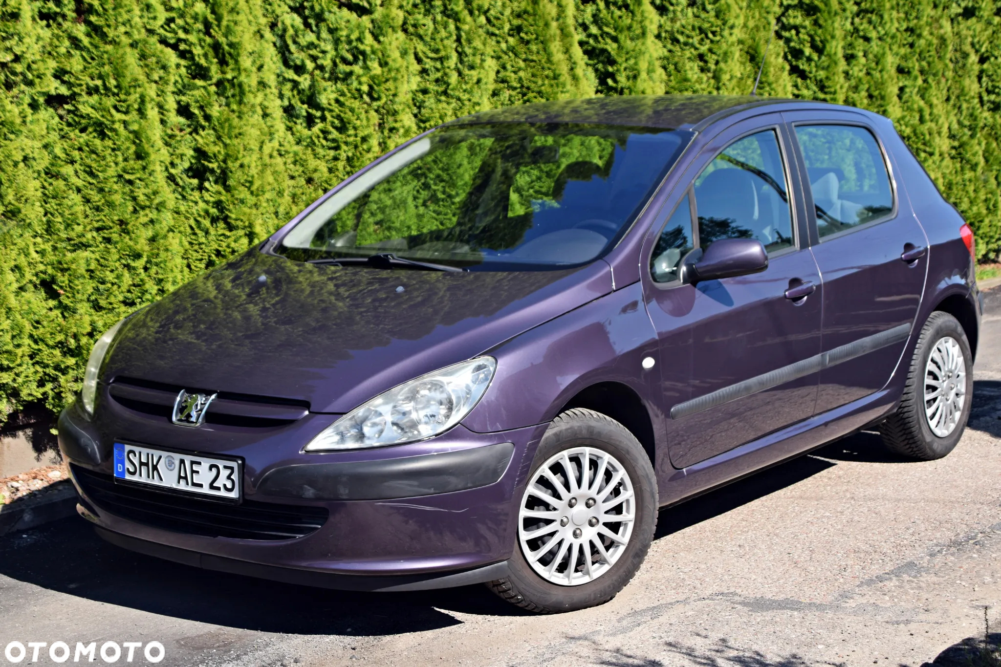 Peugeot 307 1.6 - 9