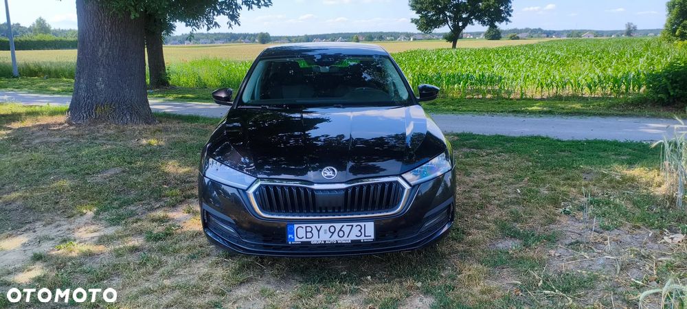 Skoda Octavia 2.0 TDI Ambition DSG - 12