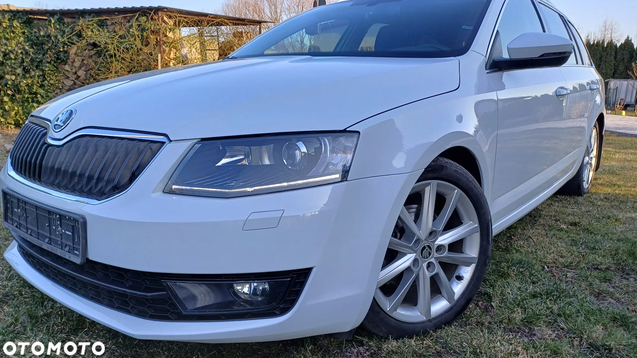 Volkswagen Passat - 28
