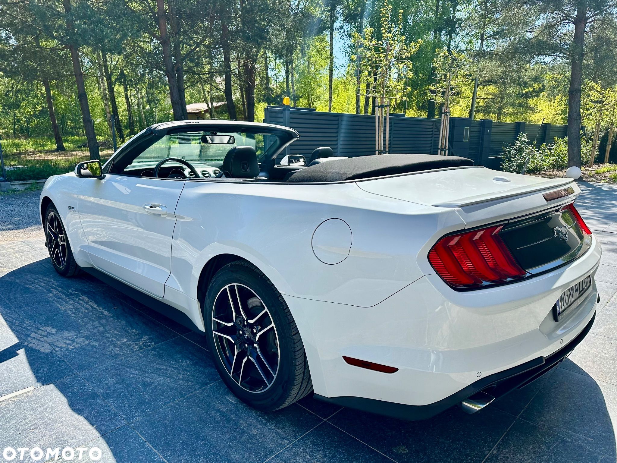 Ford Mustang Cabrio 2.3 Eco Boost - 1