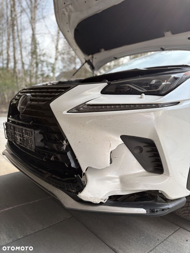 Lexus NX - 12