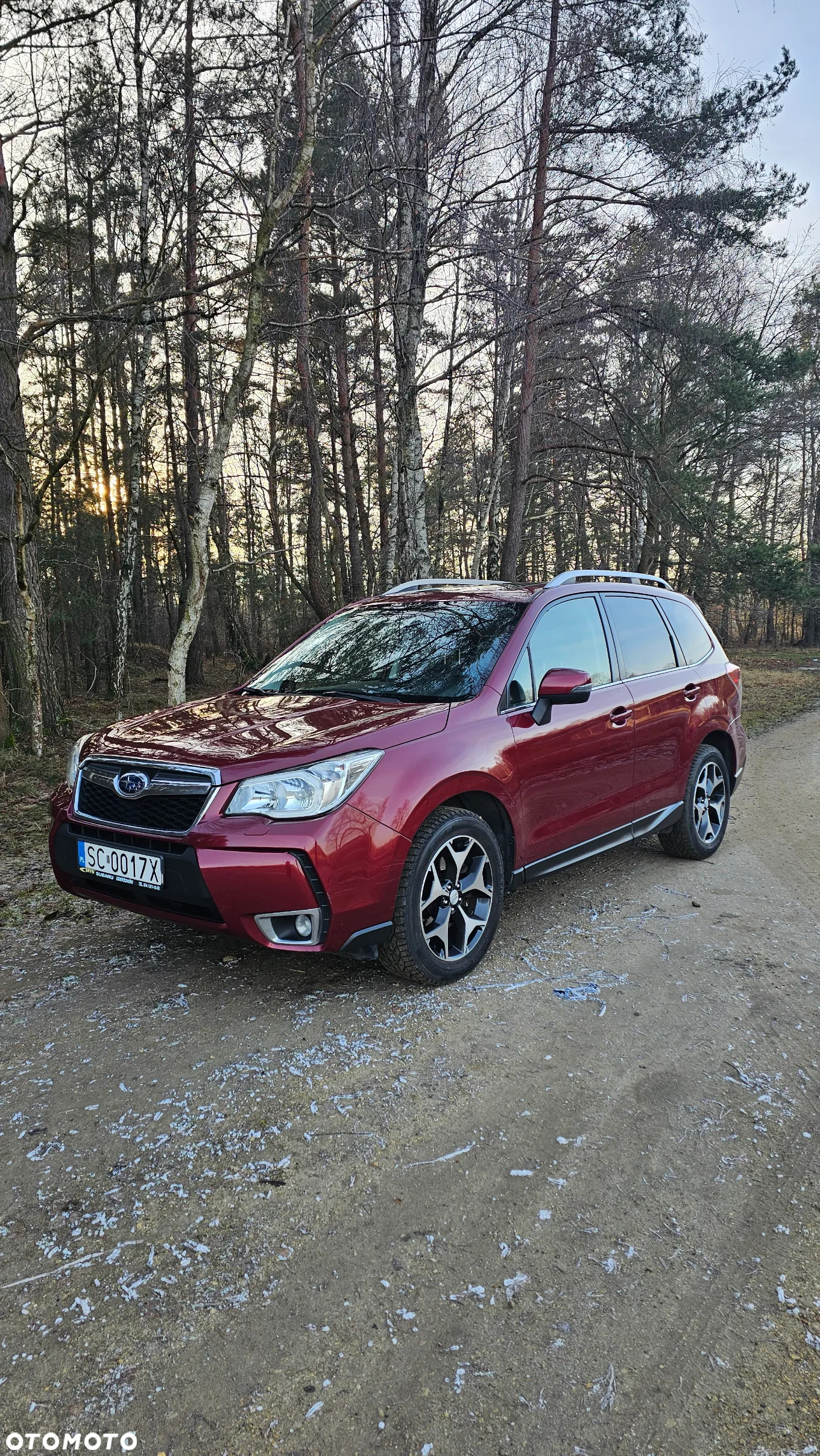 Subaru Forester - 3