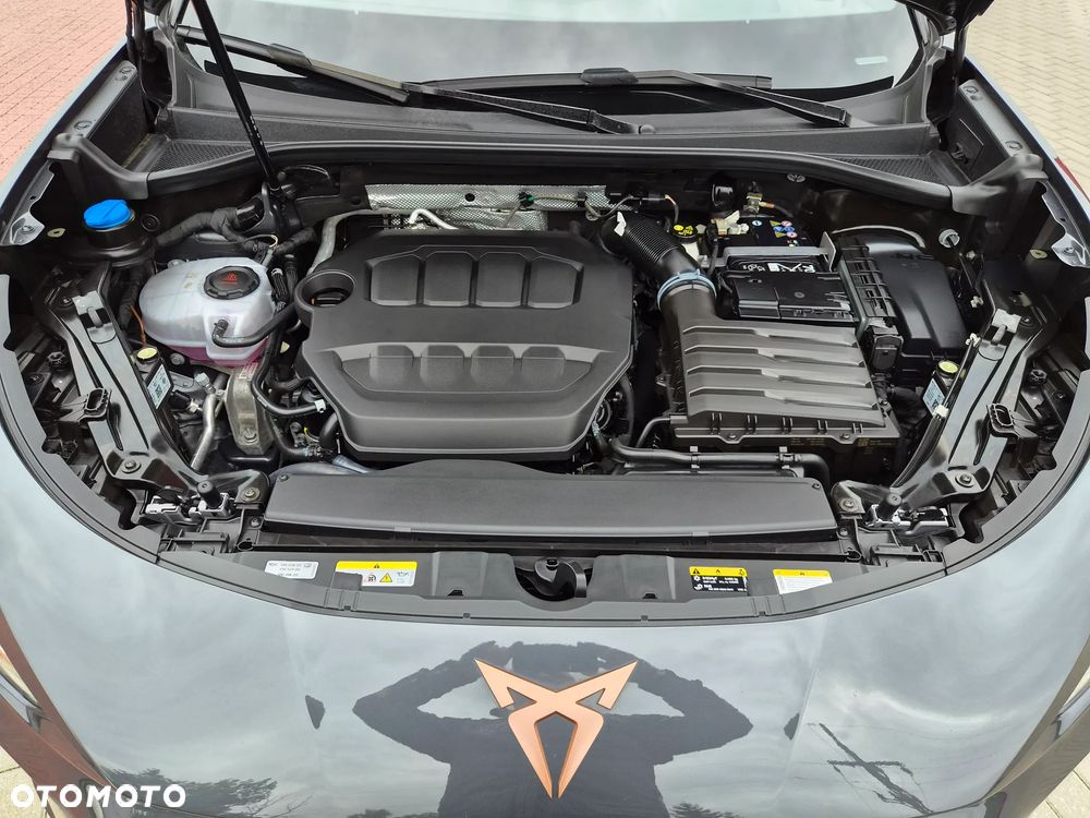 Cupra Terramar 2.0 TSI 4Drive VZ DSG - 13