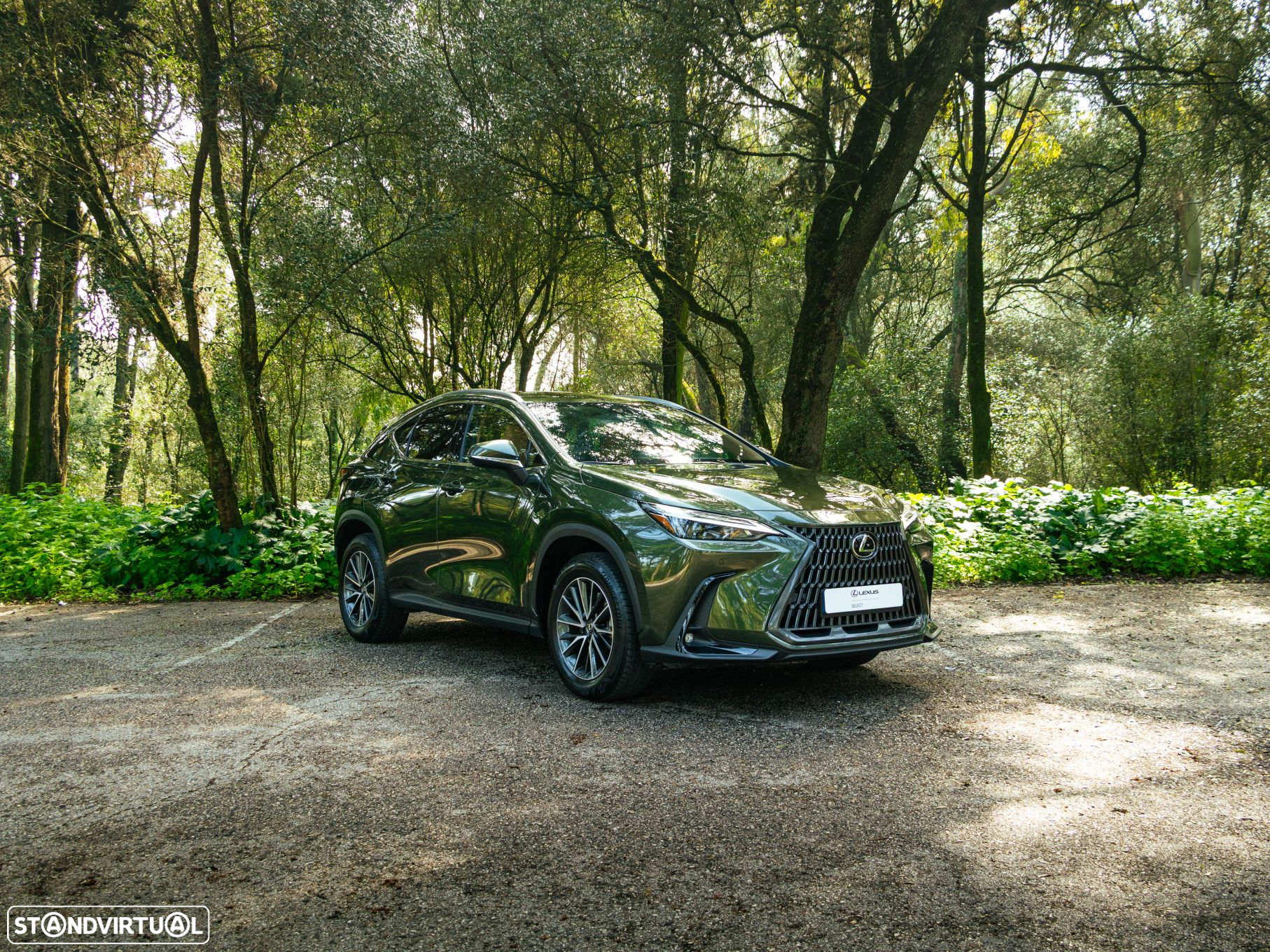 Lexus NX 450h+ - 7