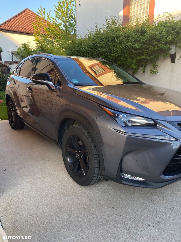 Lexus Seria NX 300h AWD Executive Plus - 15