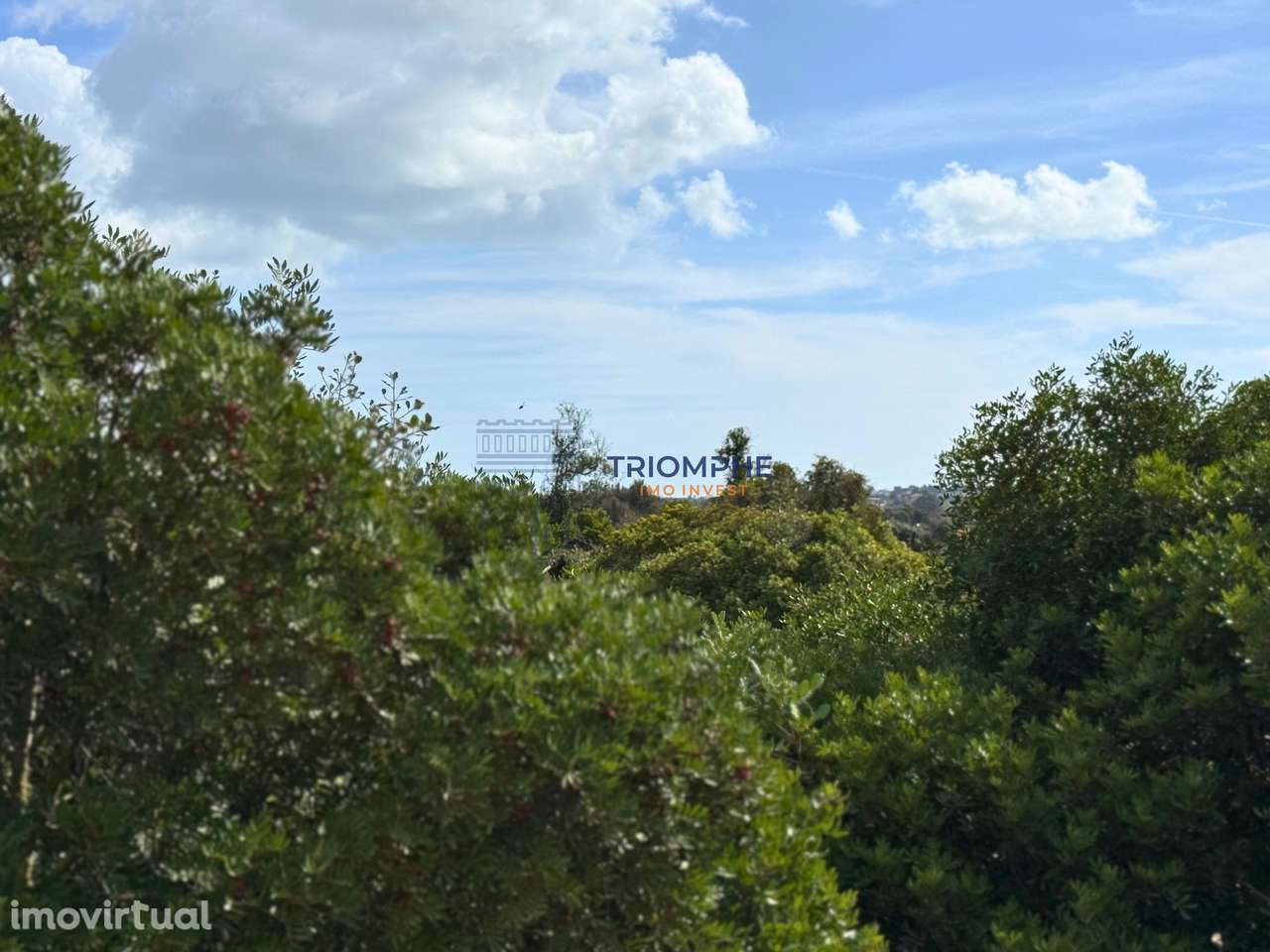 Terreno rústico 15 000 m² Estômbar - Grande imagem: 4/6