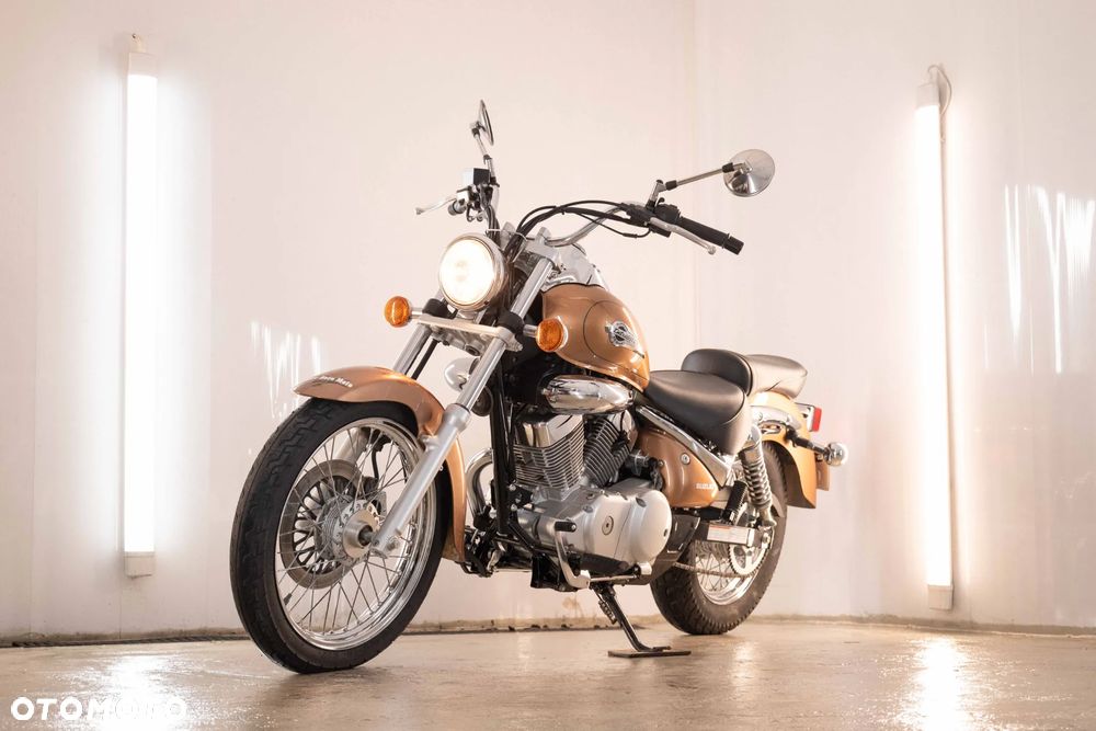 Suzuki Intruder - 1