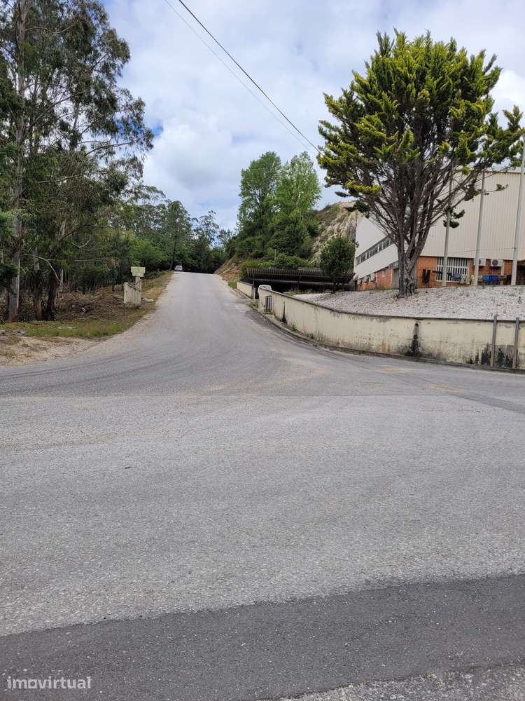 Terreno industrial em Pombal com acesso fácil - Grande imagem: 4/4