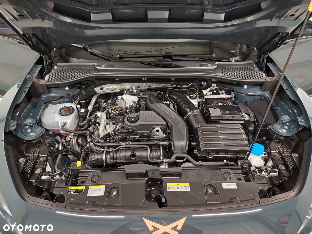Cupra Formentor 1.5 eTSI DSG Tribe Edition - 40