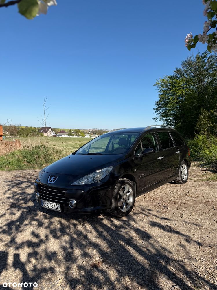 Peugeot 307 1.6 Oxygene - 1
