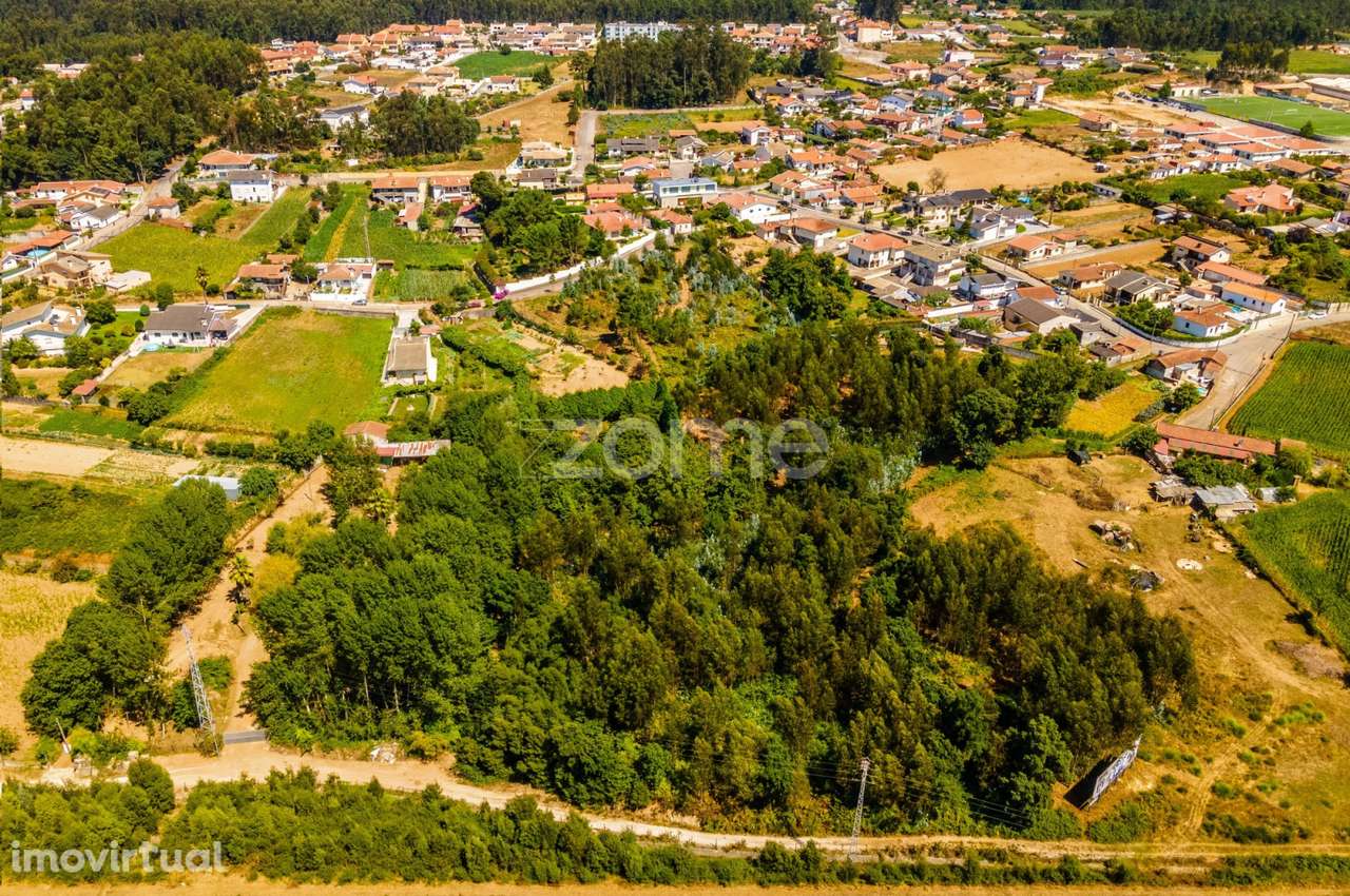 Terreno 9178m² frente para Autoestrada A1 Travanca Santa Maria Feira - Grande imagem: 4/41