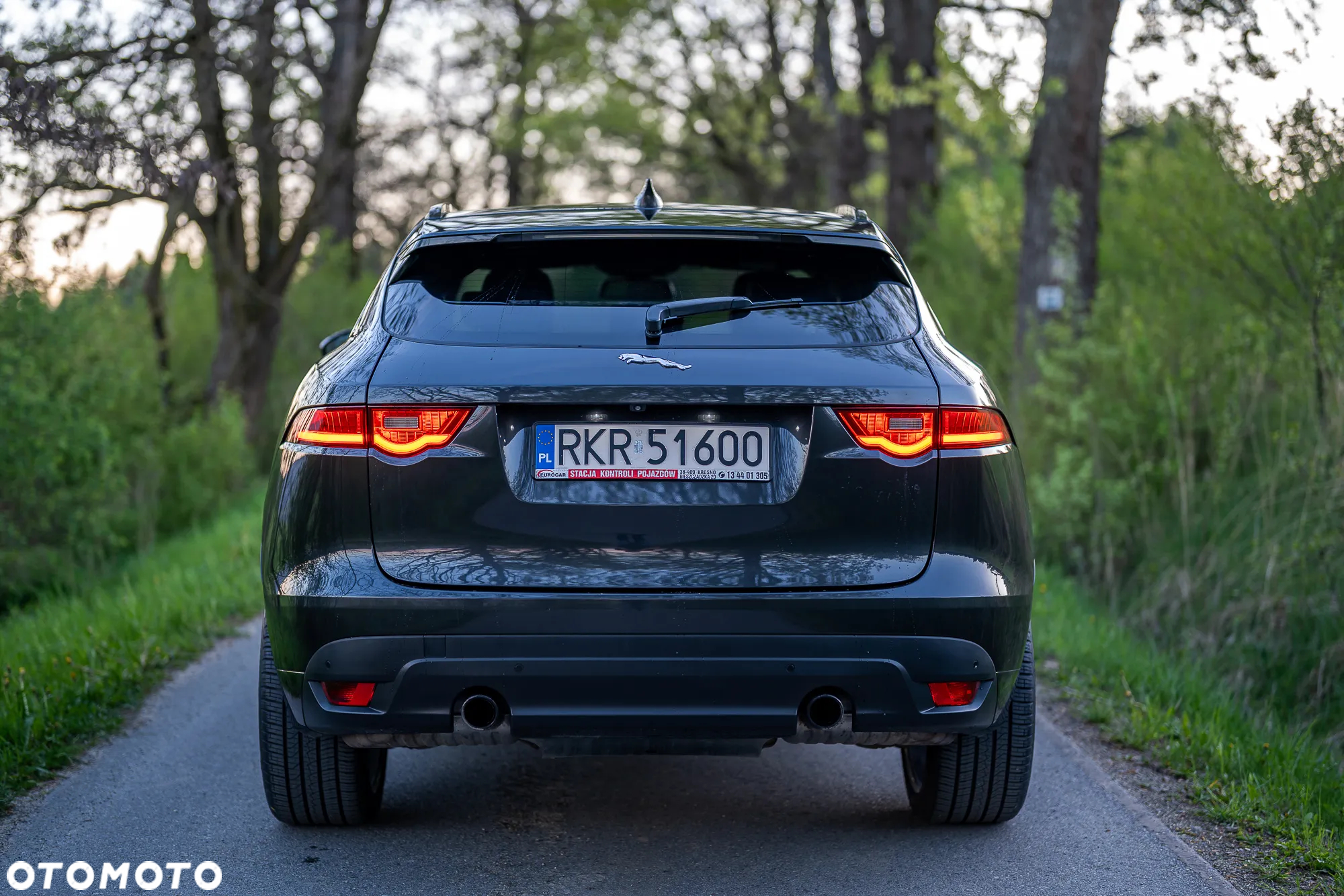 Jaguar F-Pace 3.0 TDV6 AWD R-Sport - 4