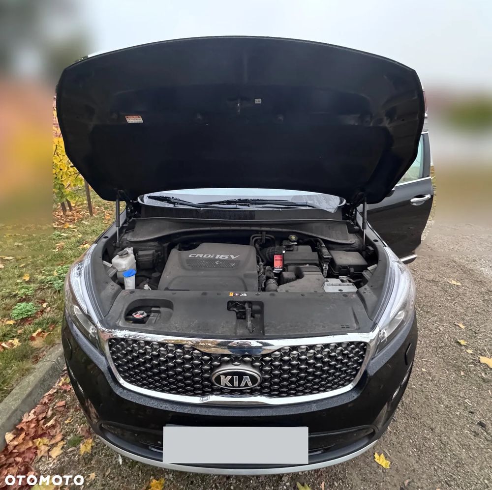 Kia Sorento - 16