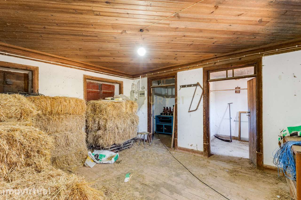 Casa Antiga || Quintinha com 7000 m2 || Vermoil, Pombal - Grande imagem: 5/15