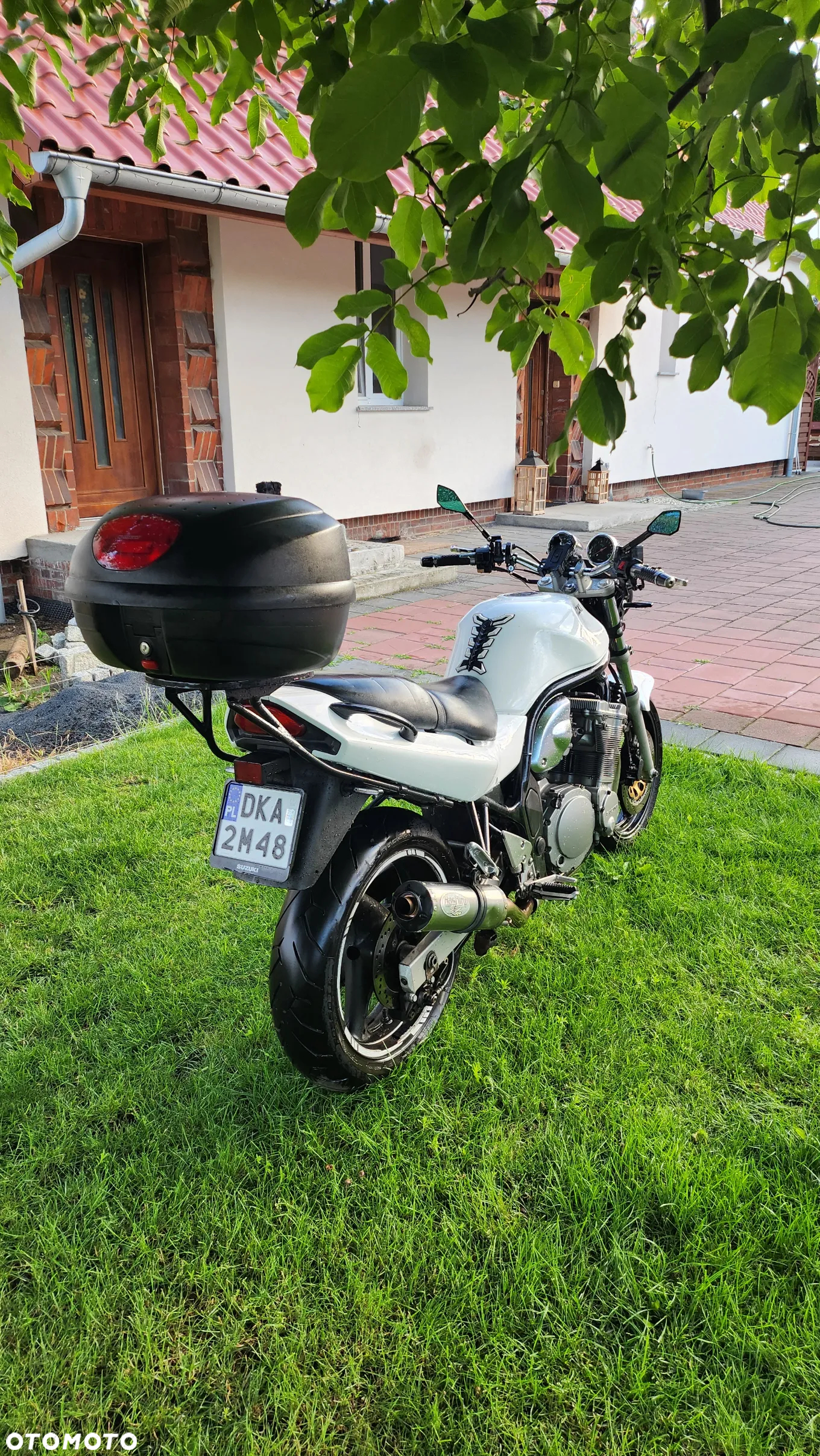 Suzuki Bandit - 6