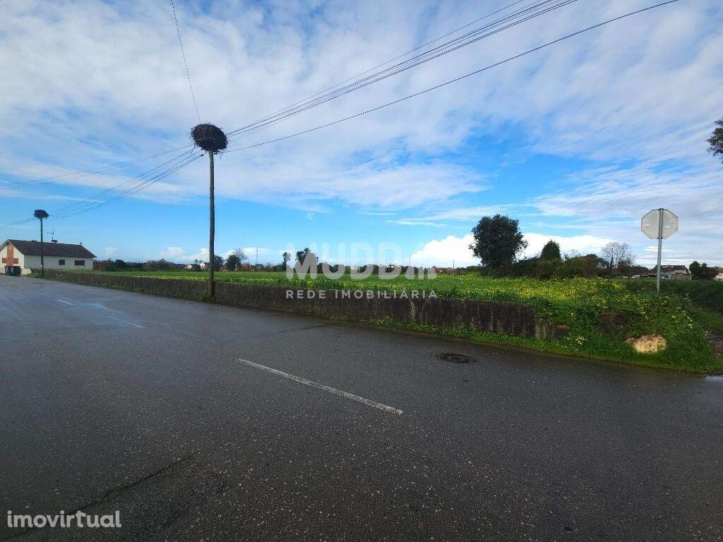 Terreno com elevado potencial em Canelas - Grande imagem: 3/4