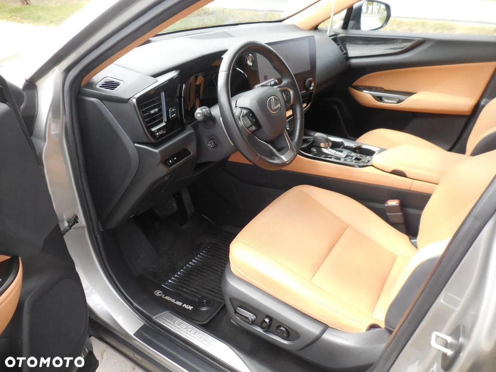 Lexus NX - 25