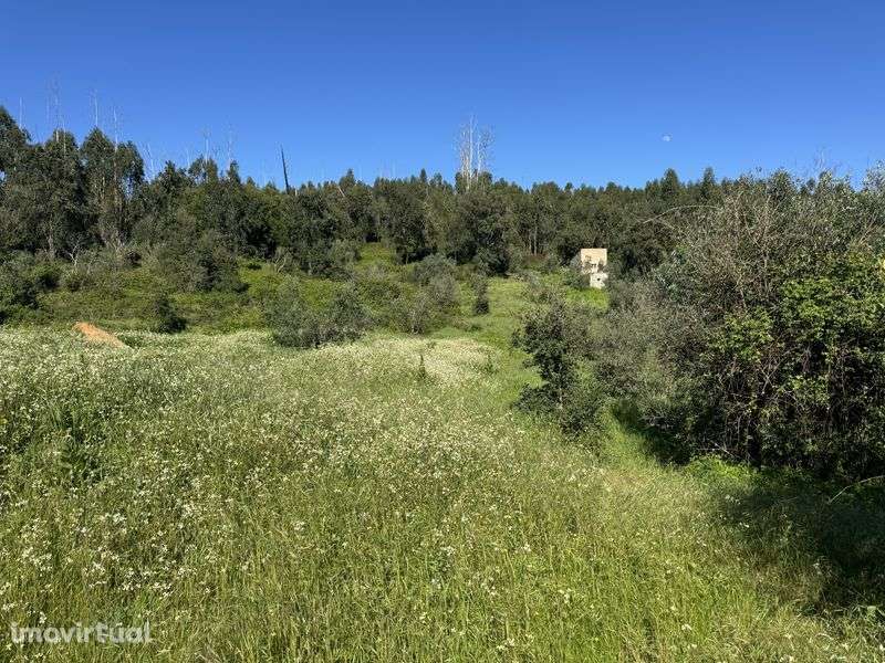 Terreno Rustico Monchique - Grande imagem: 3/5