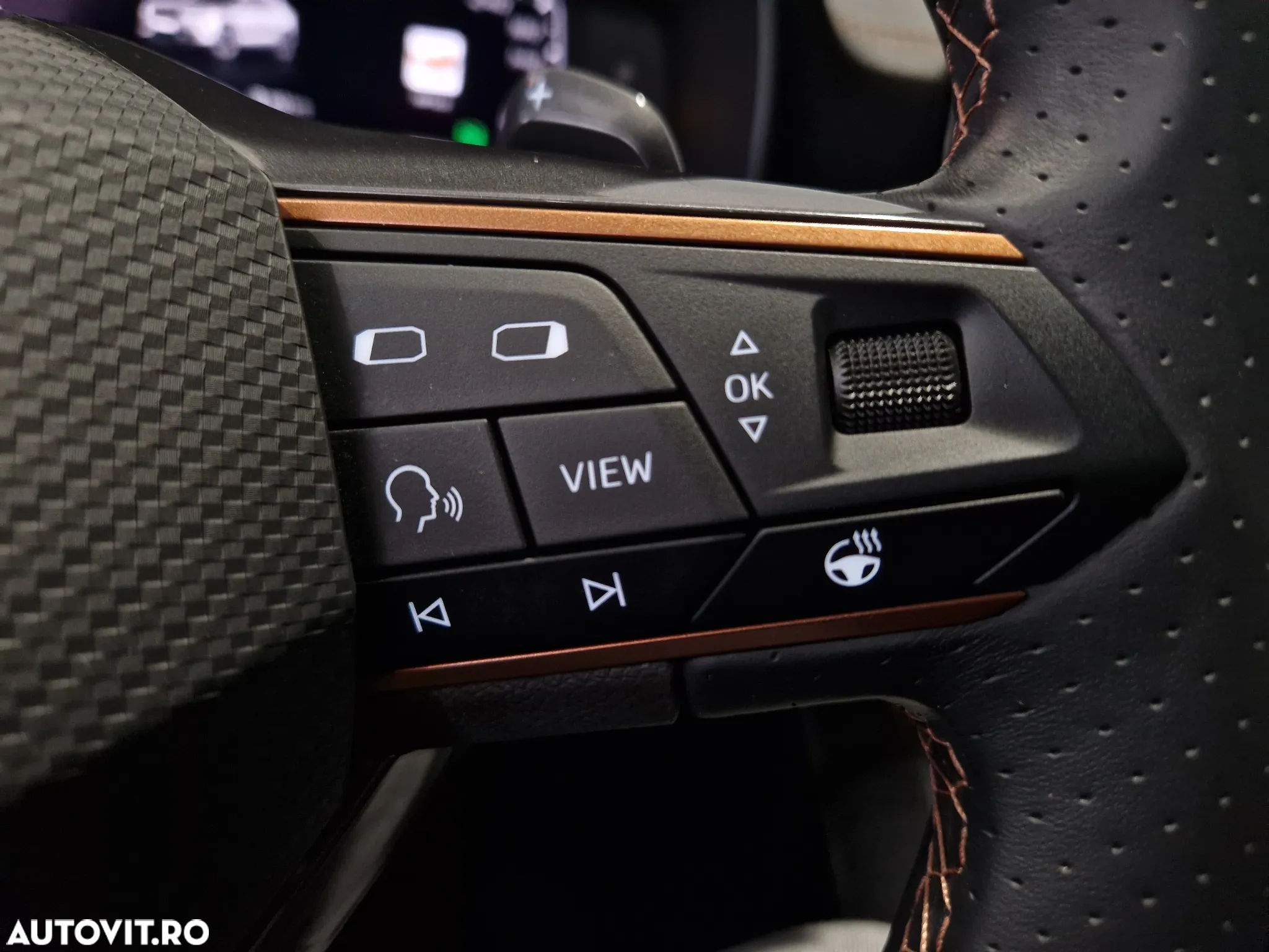 Cupra Formentor 1.5 TSI DSG7 - 19