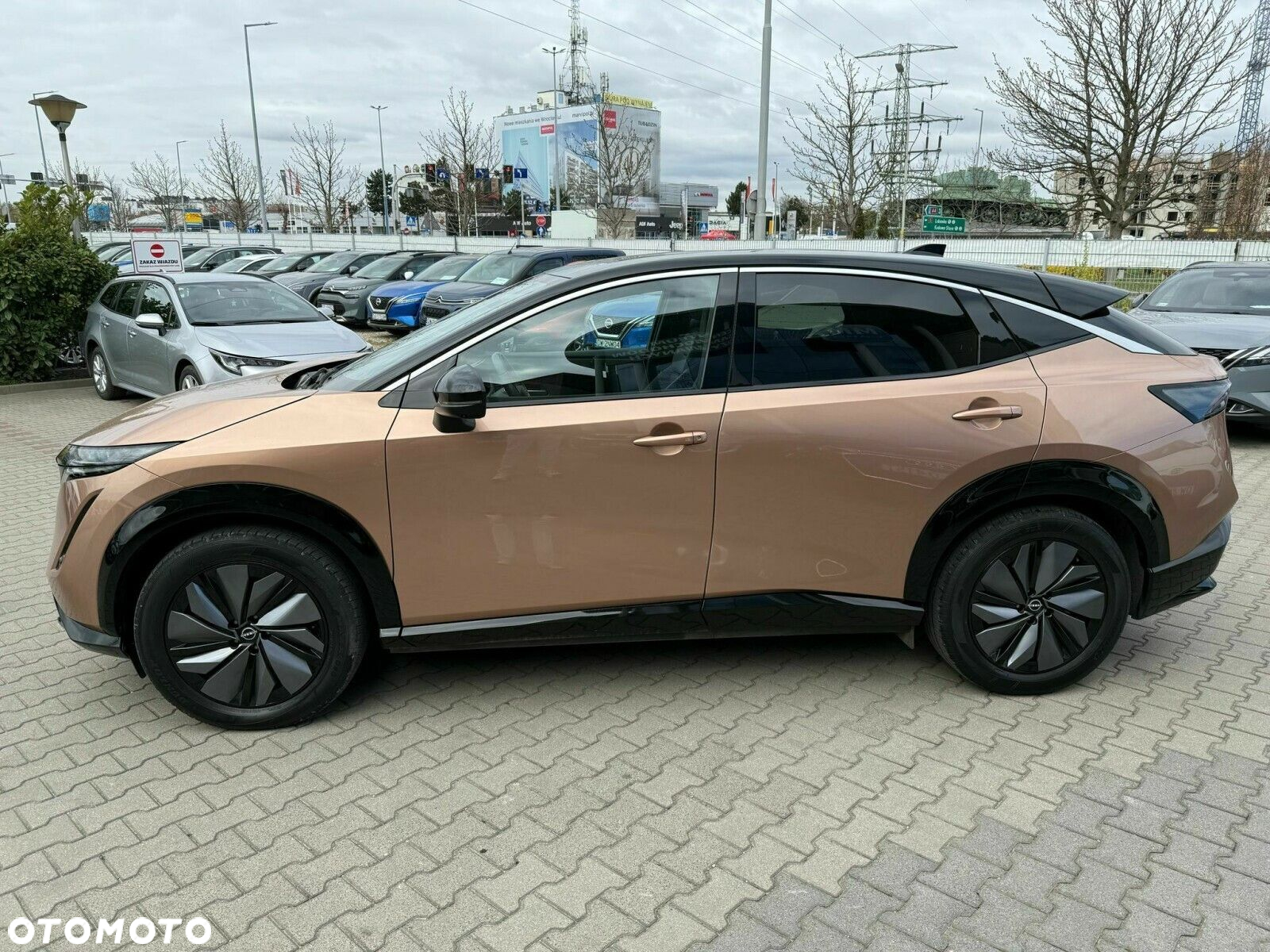 Nissan Ariya - 2