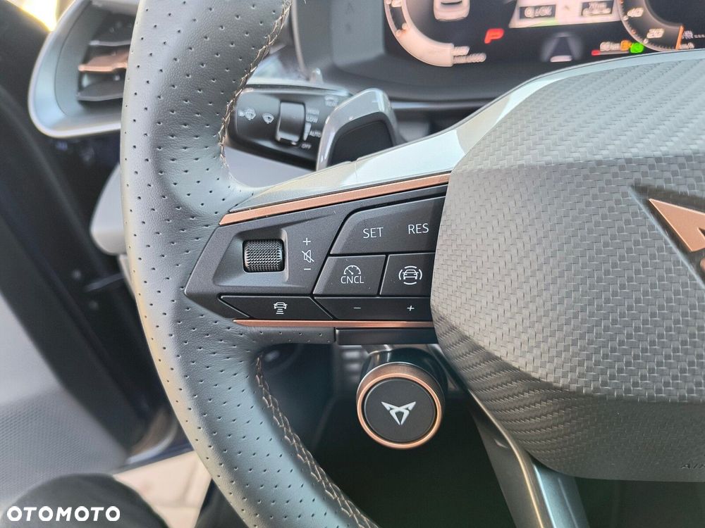 Cupra Terramar - 14