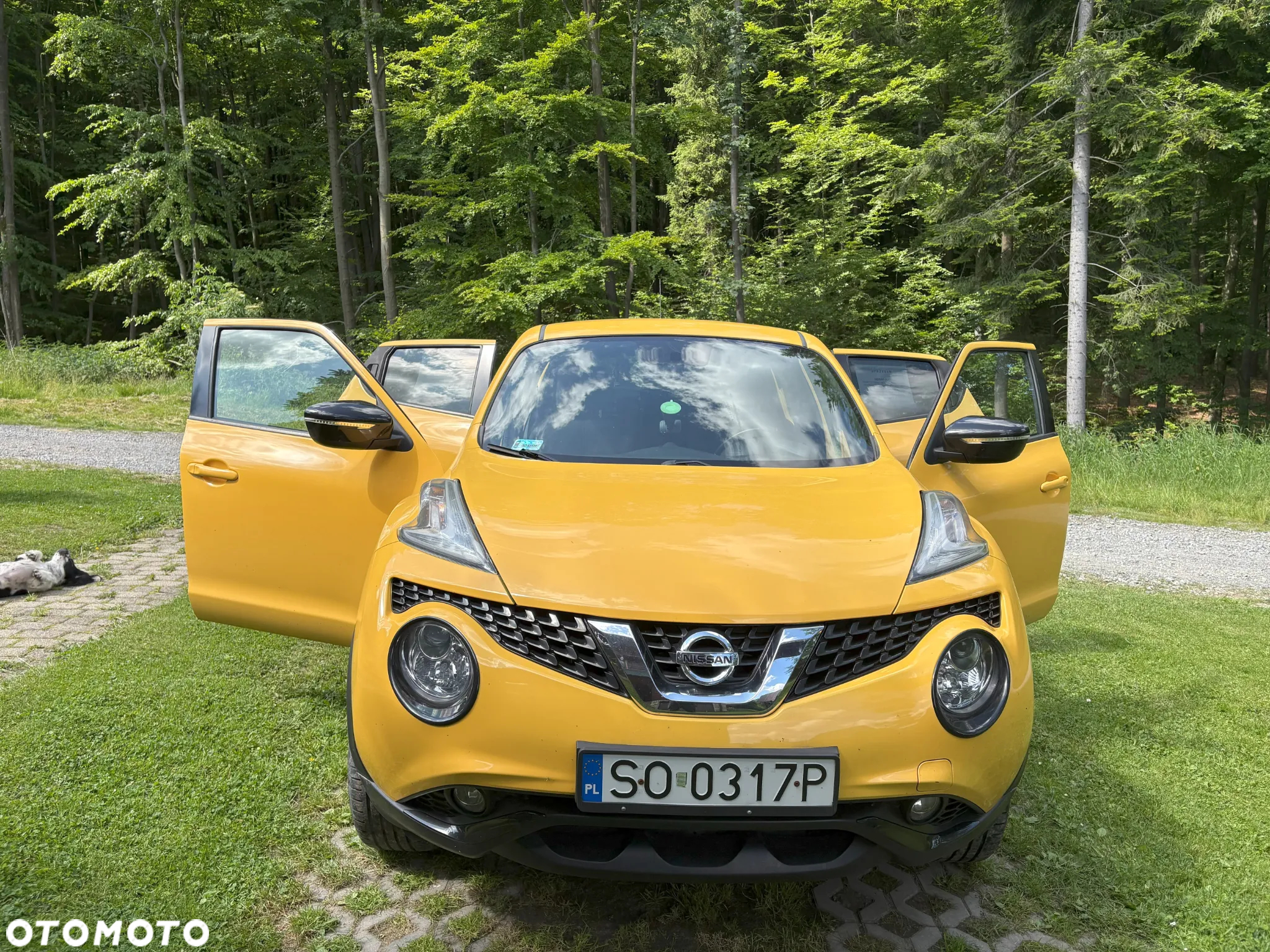 Nissan Juke 1.2 DIG-T Acenta EU6 - 2