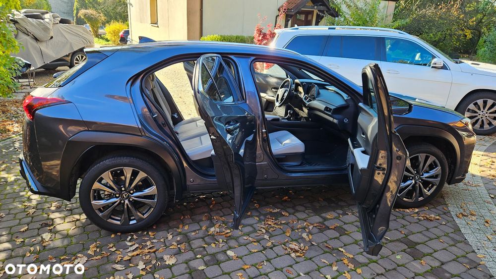 Lexus UX 250h GPF F Sport Design 2WD - 15