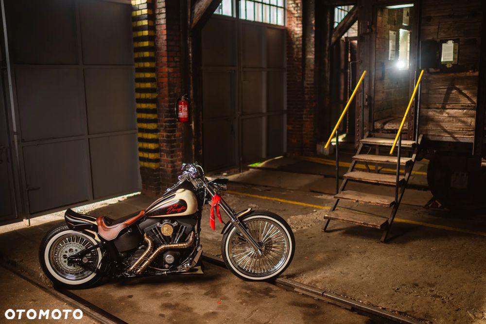 Harley-Davidson Softail - 14