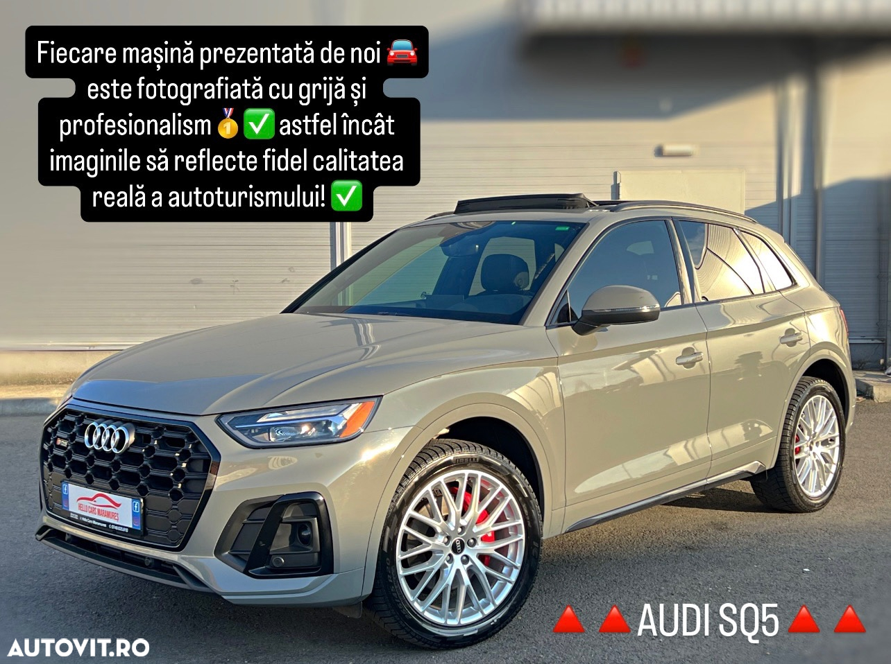 Audi SQ5 3.0 TFSI quattro tiptronic - 21