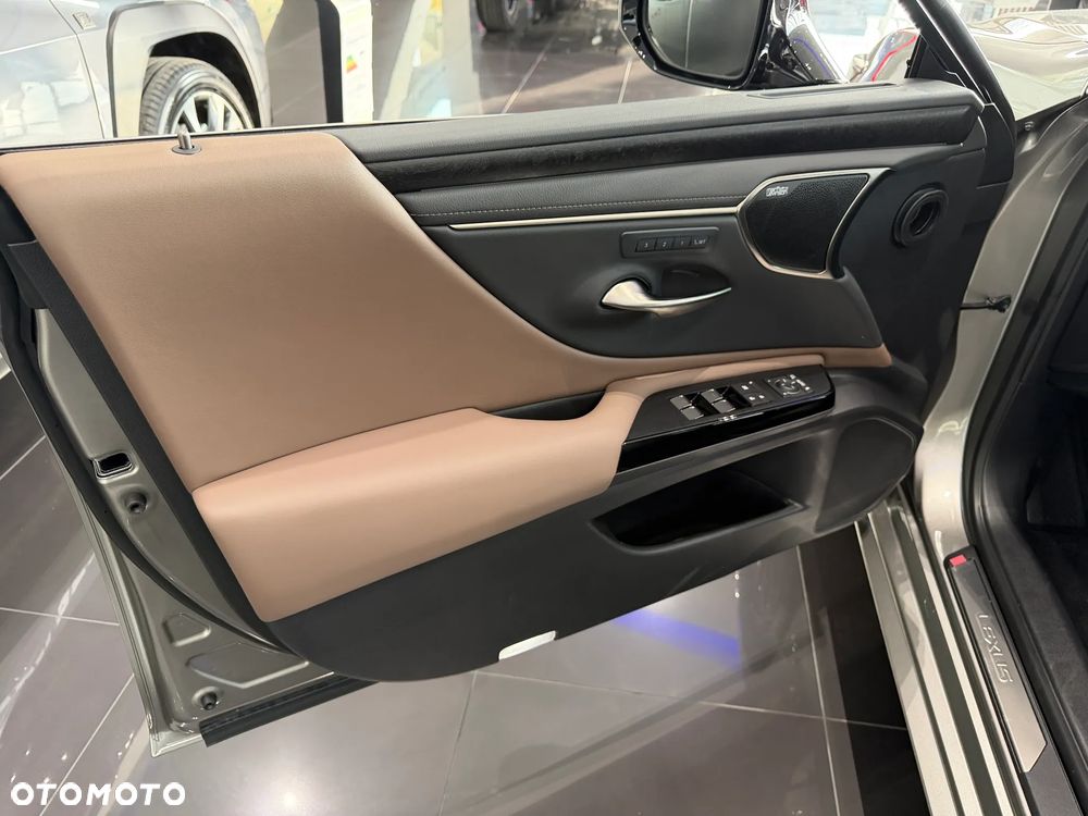 Lexus ES 300h Prestige - 11