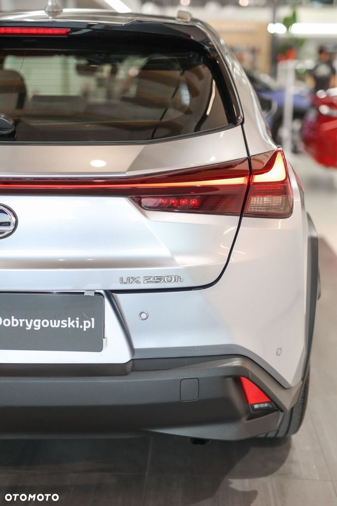 Lexus UX - 14